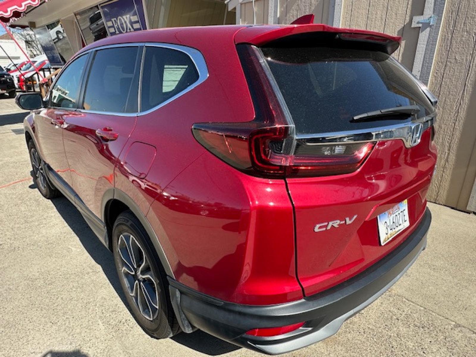 2020 Red /Gray Leather Honda CR-V EX-L AWD (5J6RW2H89LA) with an 1.5L L4 16V DOHC TURBO engine, CVT transmission, located at 3200 1st Avenue North, Billings, MT, 59101, (406) 245-9055, 45.779270, -108.510742 - Super Sharp Off Leased SUV. EX-L Package with Power Moon Roof, Leather Interior, Power Seats, Upgraded Sound System, Never Smoked In and Only 27,000 Miles! CarFax Dealer. Auto Brokers of Montana/AA&A Auto Rental/Fox Car Rental Billings - Photo #6